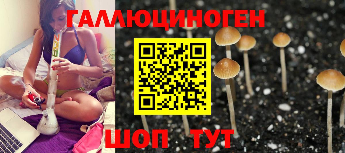 Вольск  Галлюциногенные грибы Psilocybe  Вход с VPN  Псилоцибиновые грибы MAGIC MUSHROOMS 